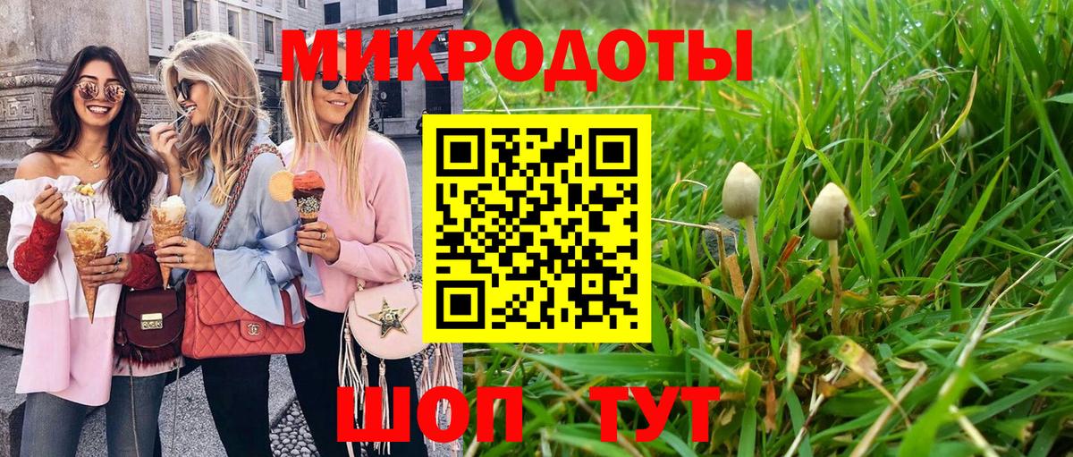 Сегежа  Псилоцибиновые грибы Cubensis  наркотики  Галлюциногенные грибы Cubensis  Вход с VPN 
