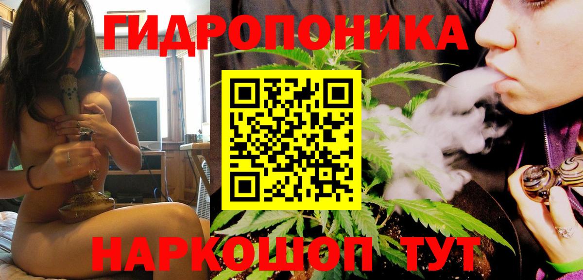 Каннабис семена  Канабис сатива  Бошки марихуана сатива  Сегежа  Вход с VPN 